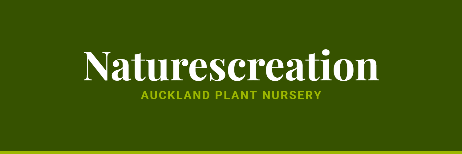 Naturescreation - plant nursery in Auckland